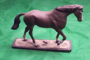 HORSE WALKING GAIT code A&G 003H